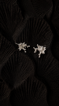 Coral | Aretes