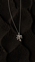 Coral | Collar